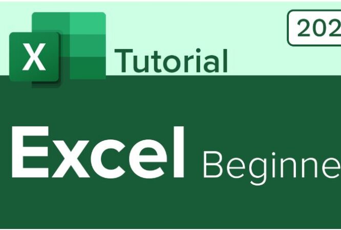 Excel Beginner