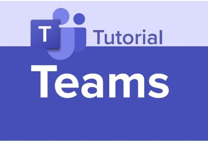 Teams Beginner