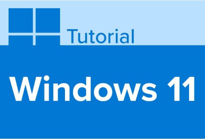 Windows 11