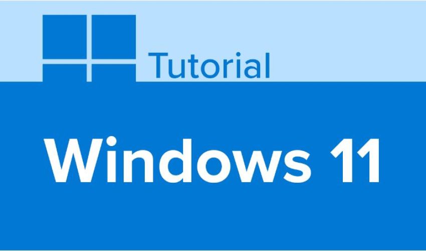 Windows 11