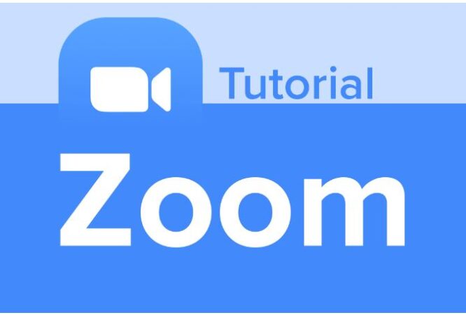 ZOOM
